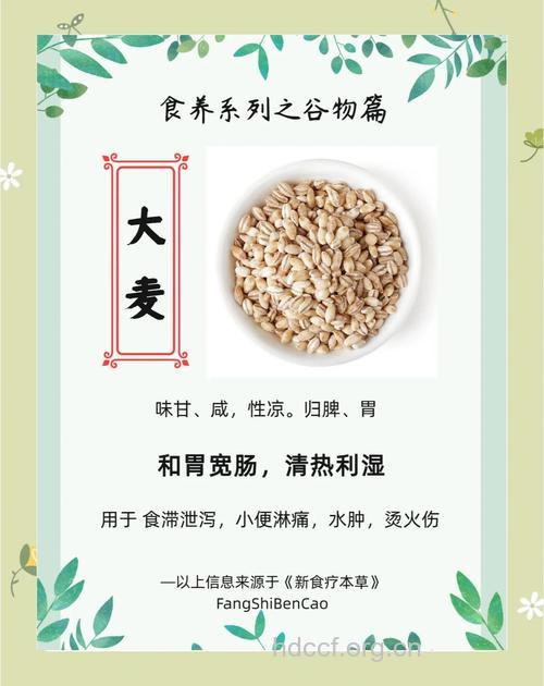 大麦护肠胃小麦抗抑郁 大小麦功效不同