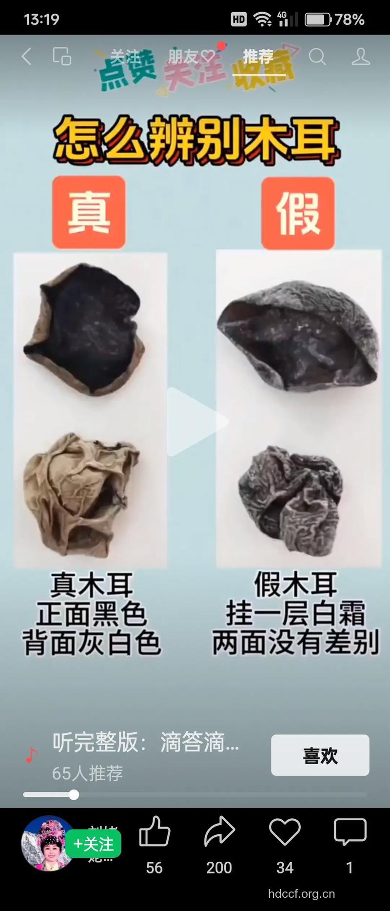 买木耳时怎样鉴别木耳呢
