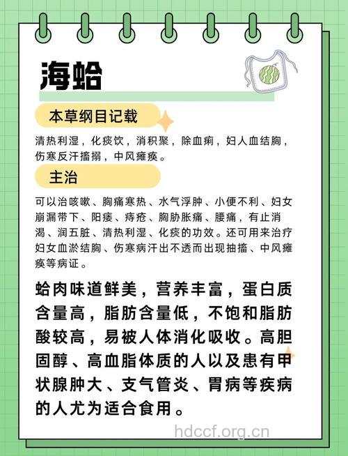 蛤蜊竟有四大营养功效