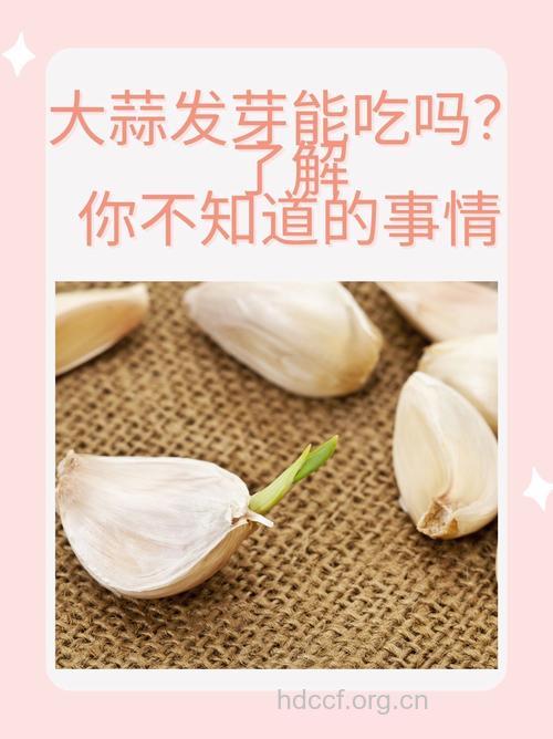 发芽大蒜能吃么 发芽大蒜竟有这些好处