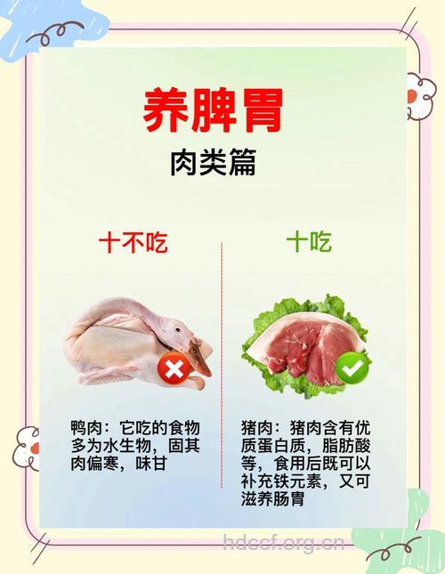 秋季进补吃五种肉类最好