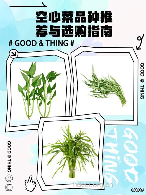 如何挑选空心菜