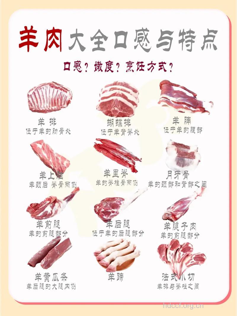 羊肉的几种做法 这两种必推荐