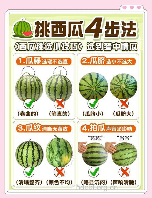 挑选好西瓜的10大技巧