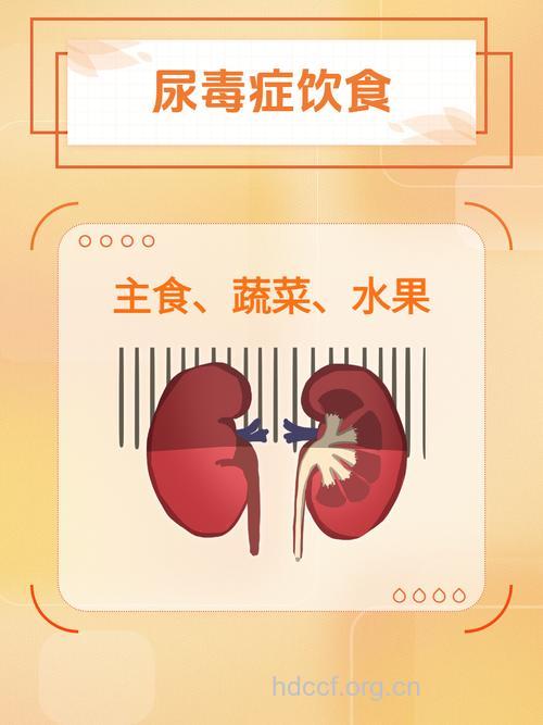 如何预防尿毒症？