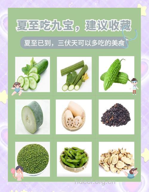盘点夏季10种养生食材