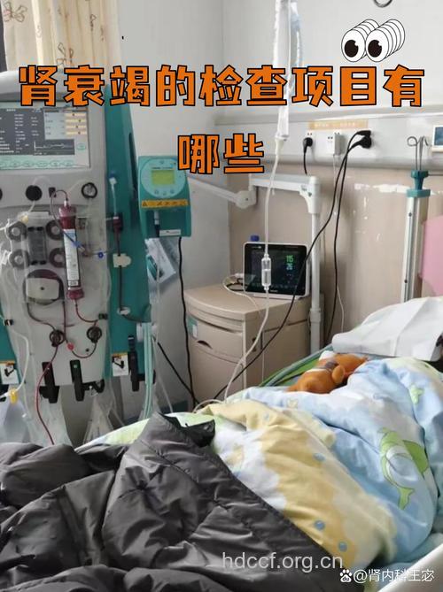 诊断肾衰竭需要哪方面检查