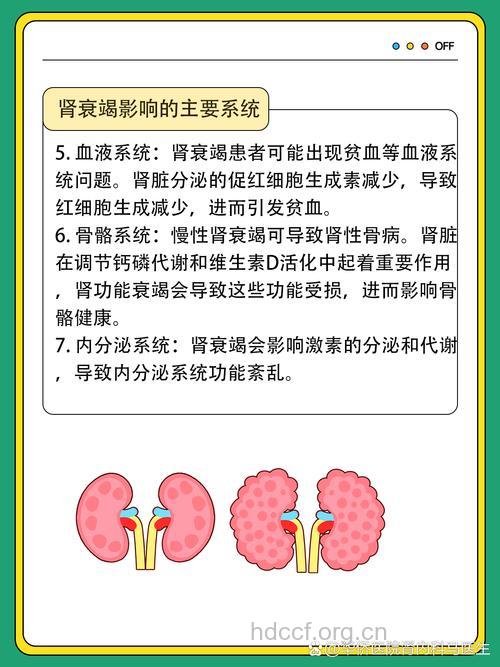 肾衰竭对哪些系统造成影响呢