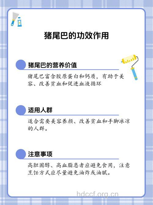 猪尾巴的四大药用功效