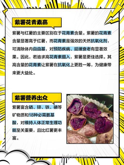 紫薯比红薯营养价值高吗