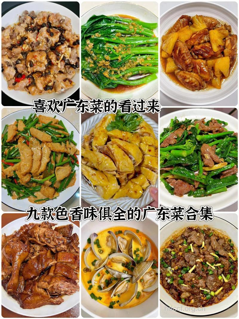 粤菜的代表菜有哪些