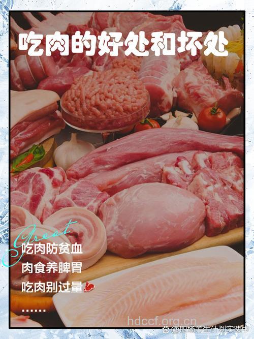 嘴馋 盘点吃肉的五大好处