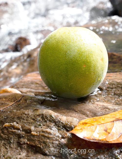 柚子是缓解感冒后咳嗽的好水果