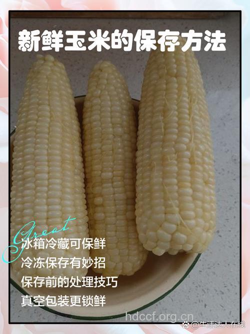 新鲜玉米怎么保存