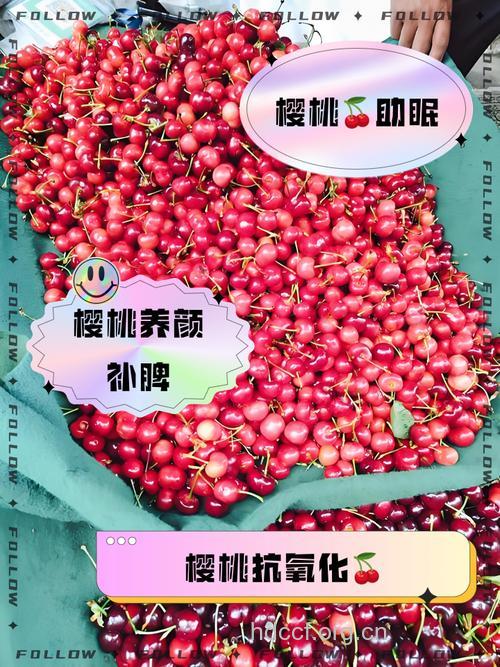 小小樱桃常吃补脾又益气