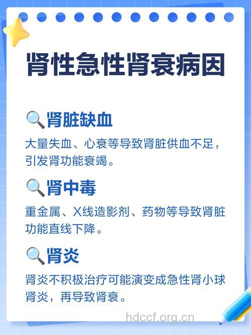 急性肾功能衰竭是哪些病因导致