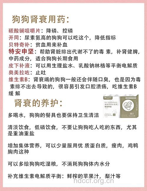 肾衰日常生活饮食注意事项