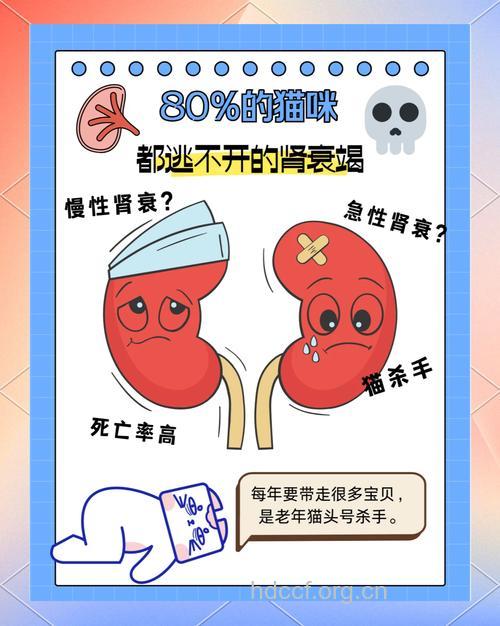 生活中哪些因素会诱发肾衰竭