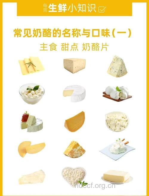 芝士是什么?带你深入了解芝士