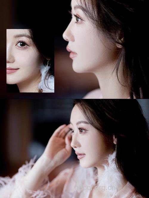 美丽的标准模板-巴掌脸