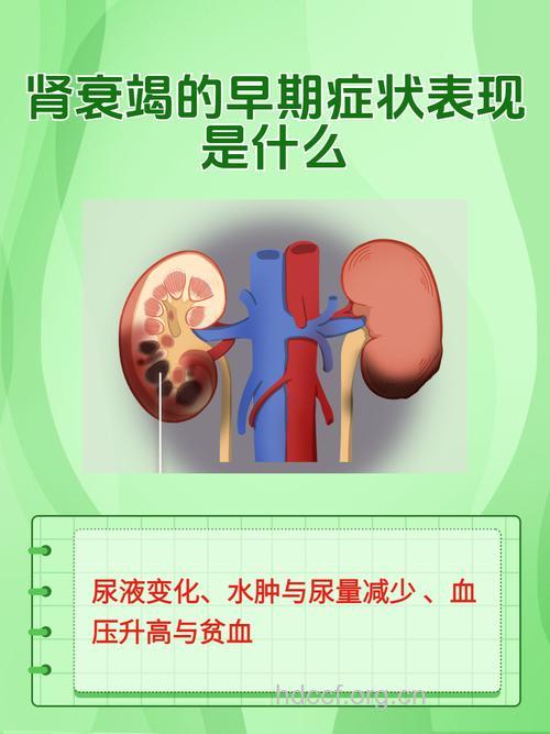肾衰竭患者六大并发症