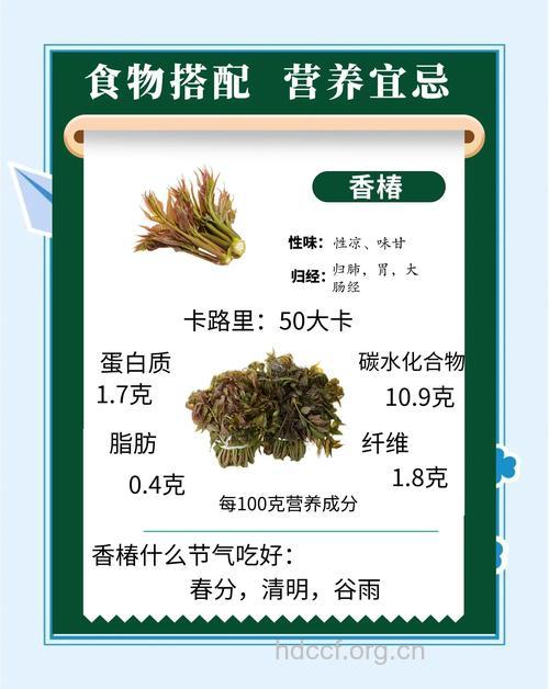 香椿芽的营养价值高 这样吃最营养健康