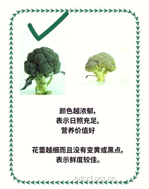 怎样挑选西兰花