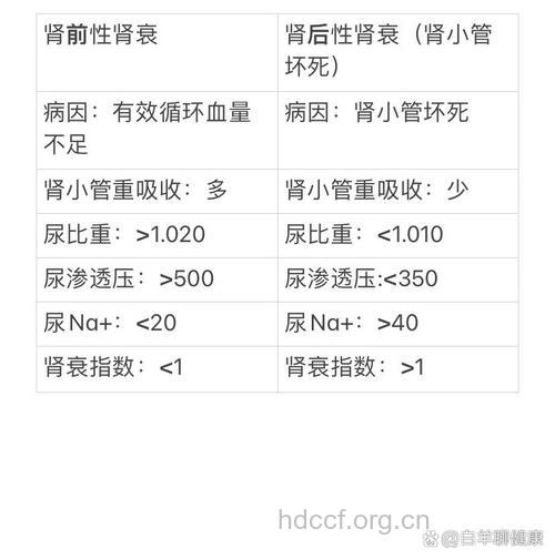 我们怎么样才能鉴别肾衰竭