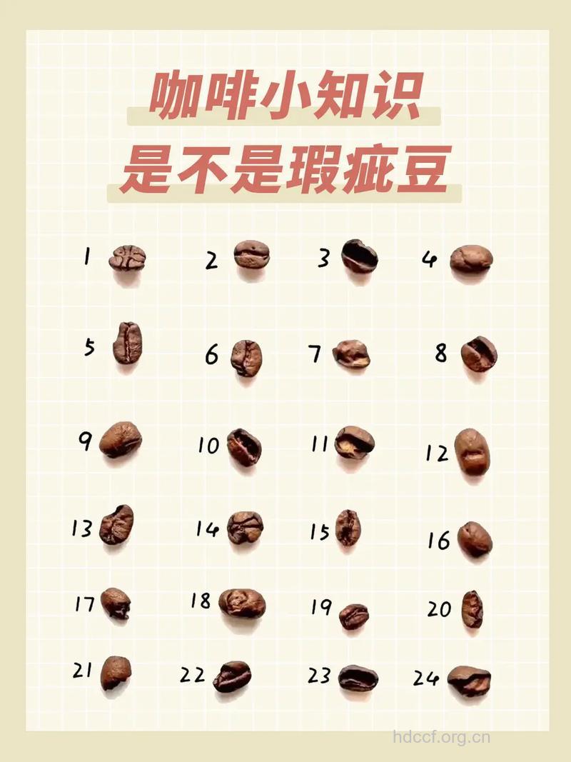 识别咖啡豆的方法