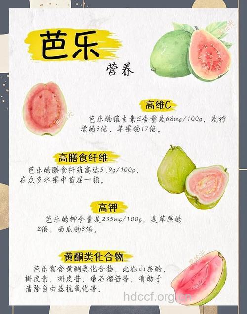 盘点芭乐的营养价值 你知道几种呢
