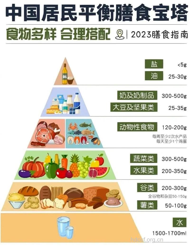 食物合理搭配