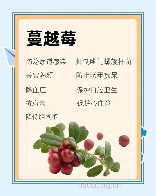蔓越莓天然的保健果 还不吃起来