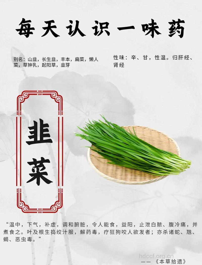 初春吃韭菜正当时 韭菜是通便良药