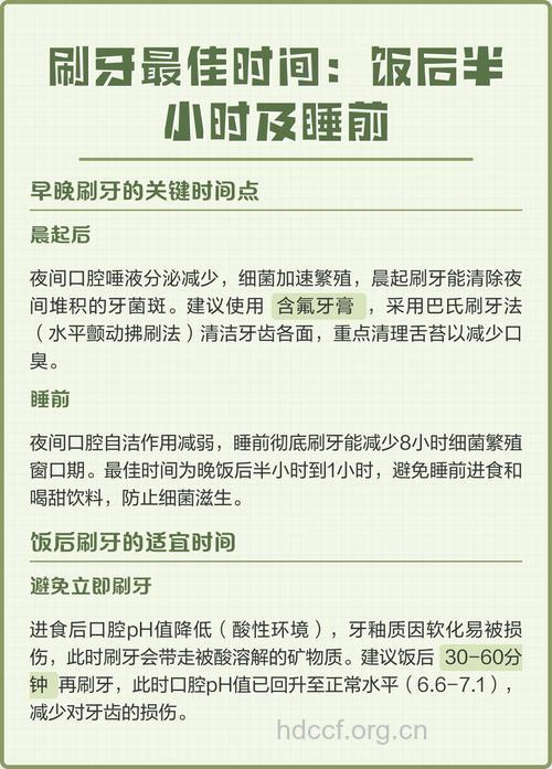 应该要在最佳的时间段中刷牙