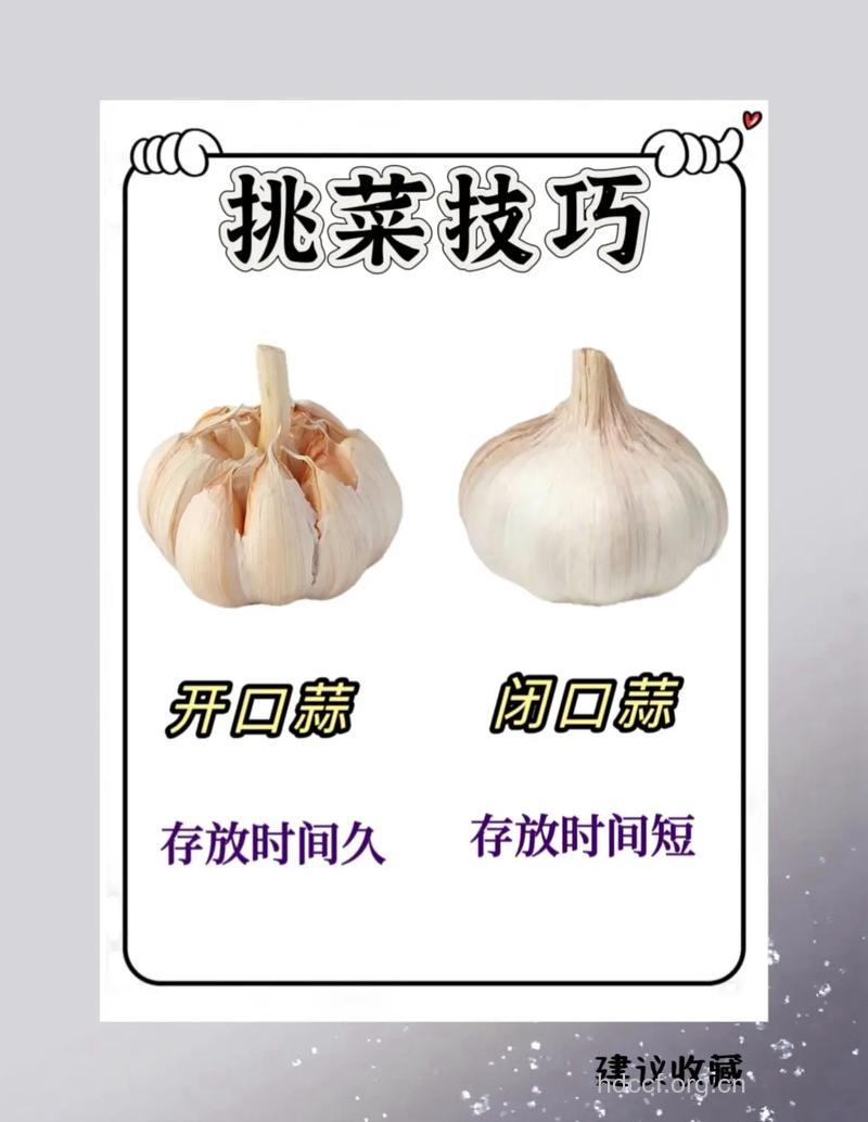 挑选白菜记住这3个小技巧