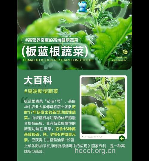 这种蔬菜变色后功效也很强