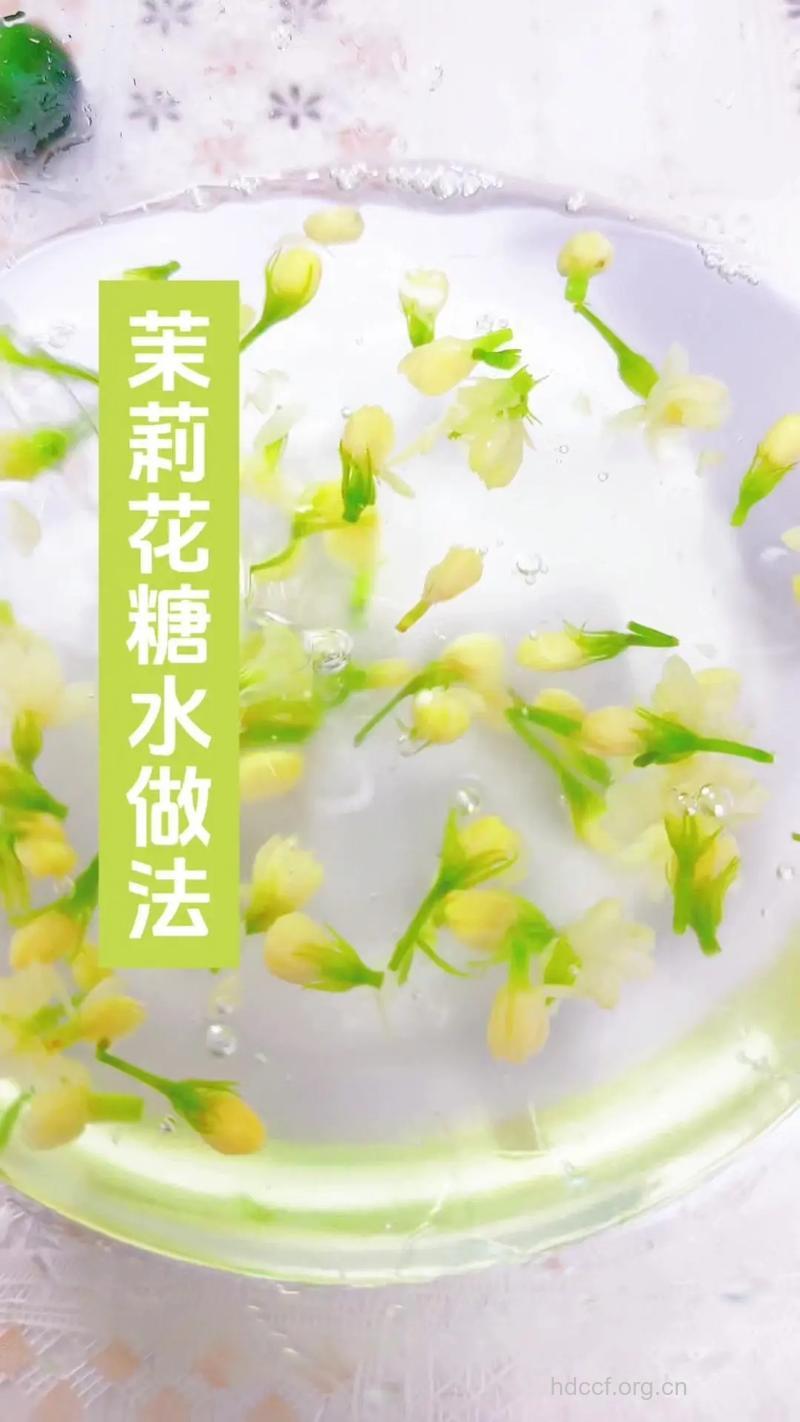 如何用茉莉花做出营养美食