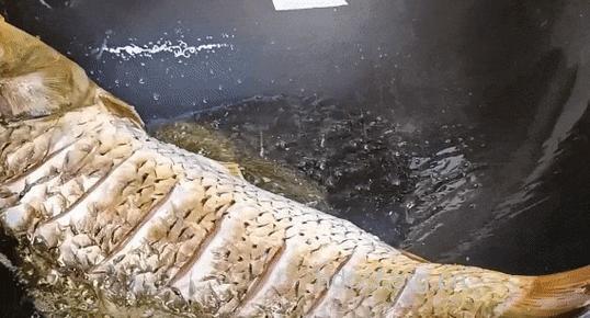 惊！没想到这种鱼竟是补肾高手
