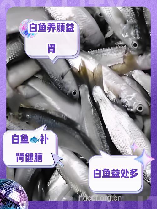 推荐小白鱼的3种做法及营养功效