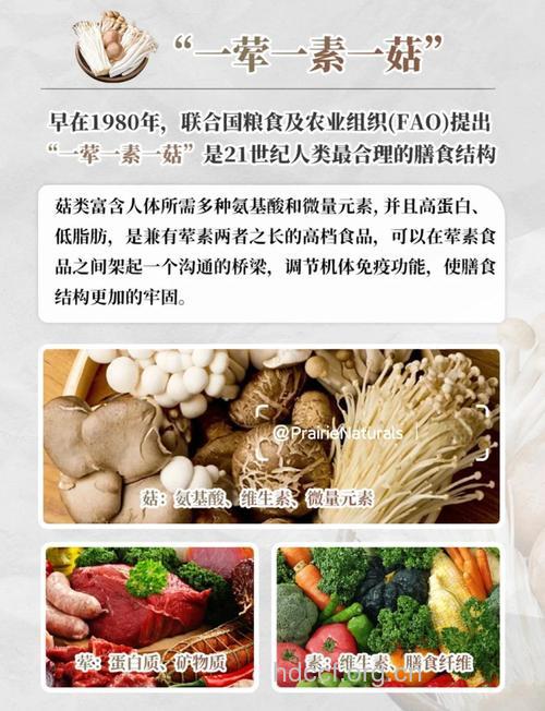 21世纪的九大食品类