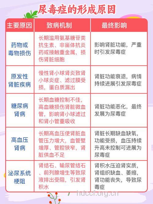 常见的诱发尿毒症的原因是什么