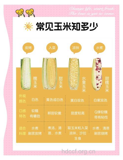玉米（鲜）有什么营养价值