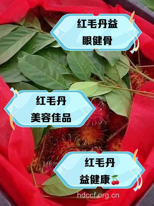 盘点红毛丹的营养价值与功效
