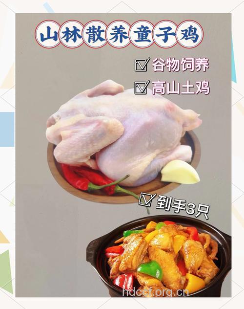 食物百科——童子鸡的食疗功效