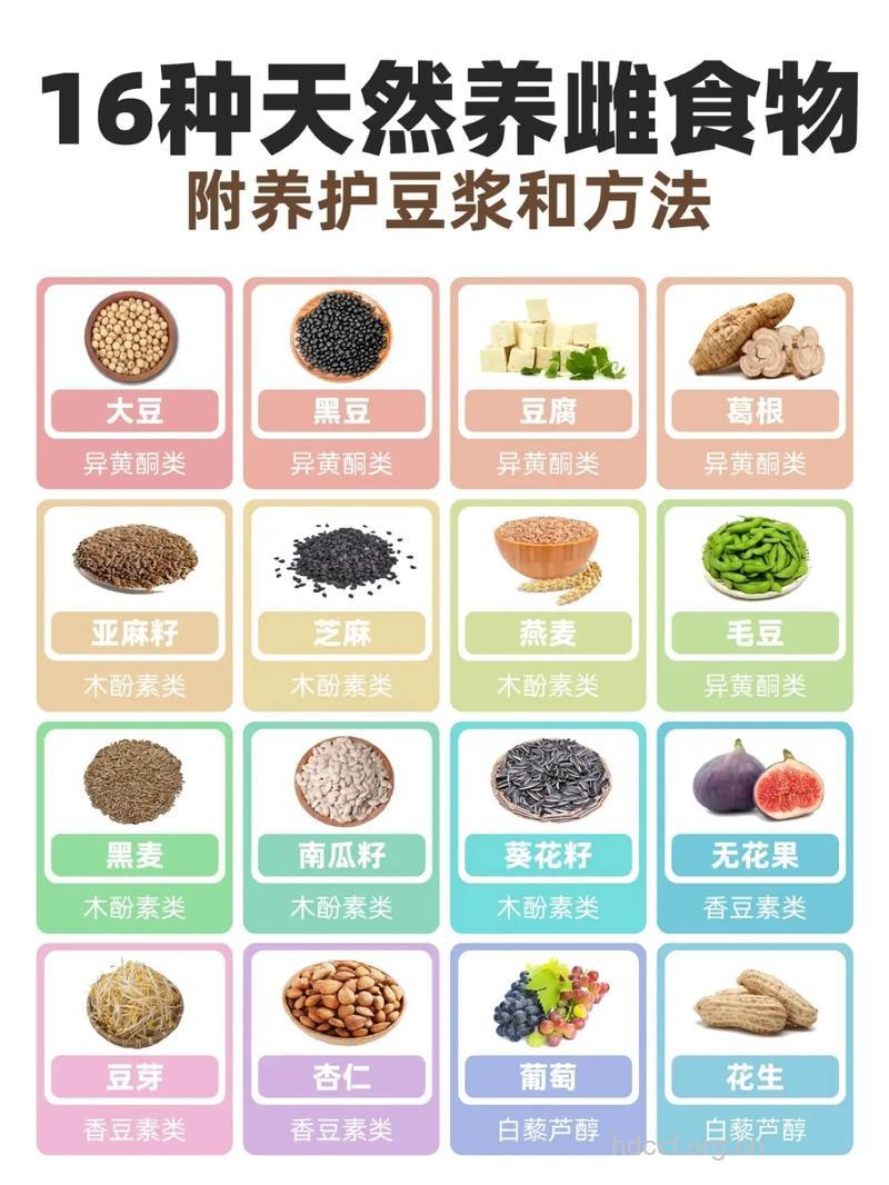 天然素食有哪些?