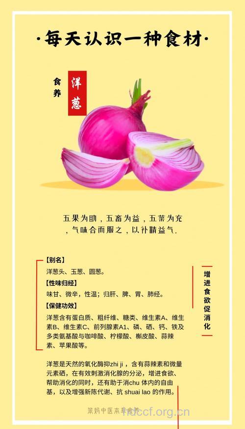 洋葱的食疗功效与注意事项
