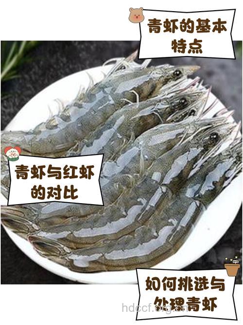 青虾