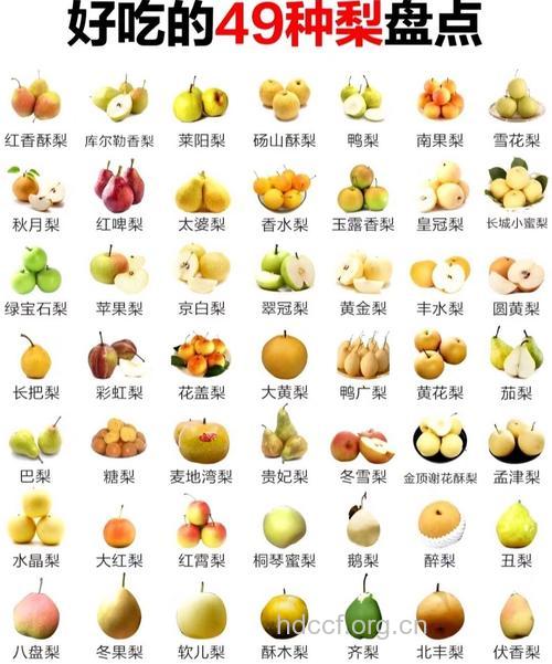 8大水果的品种 你一定没有吃过