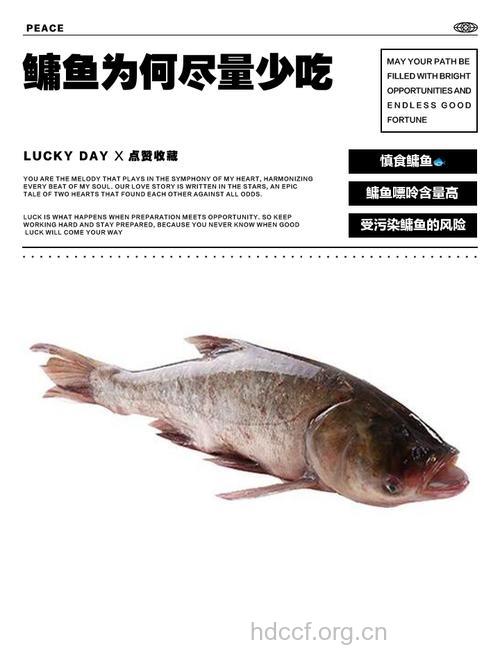 鳙鱼