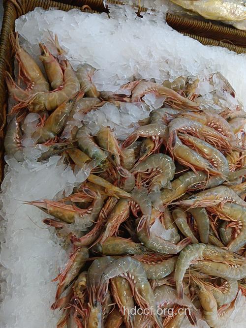 海虾